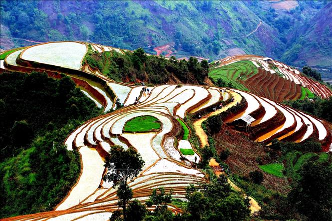Ruộng bậc thang tại xã Xím Vàng, huyện Bắc Yên. Ảnh: Quang Quyết -TTXVN