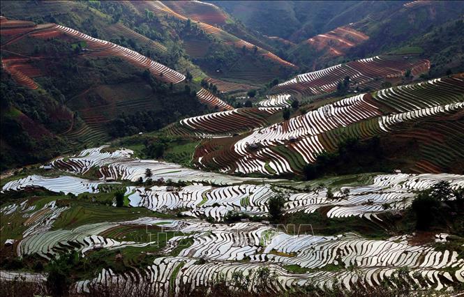 Ruộng bậc thang tại xã Xím Vàng, huyện Bắc Yên. Ảnh: Quang Quyết -TTXVN
