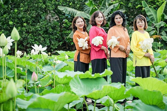 Nhiều phụ nữ trung niên tìm đến đầm sen để lưu lại những khoảnh khắc đẹp cùng bạn bè. Ảnh: Khánh Hoà - TTXVN