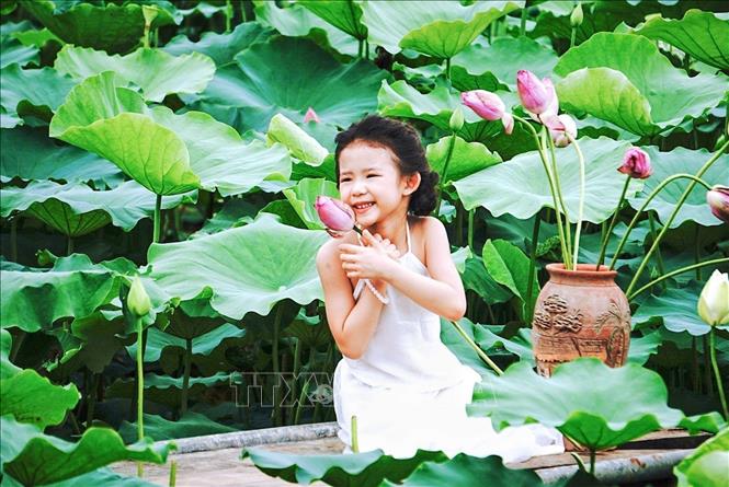 Bạn nhỏ thích thú bên những đoá sen ở đầm sen Hồ Tây (Hà Nội). Ảnh: Khánh Hoà - TTXVN