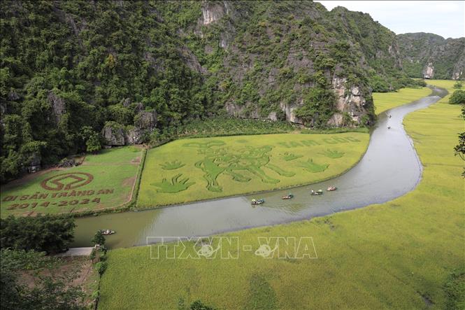 Bức tranh 
