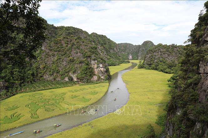 Bức tranh 