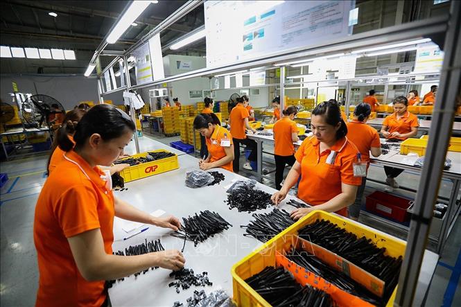 Khu Công nghiệp Lương Sơn hiện có 520 công nhân đang làm việc. Ảnh: Trọng Đạt-TTXVN
