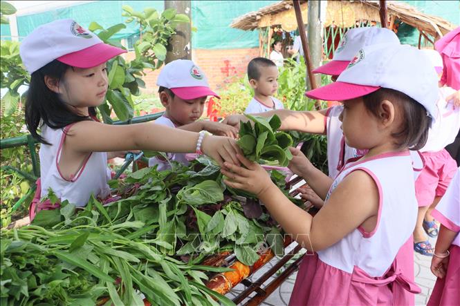 Trẻ em Trường Mầm non Hoa Sen (phường 2, thành phố Vĩnh Long, tỉnh Vĩnh Long) tham gia phiên chợ quê. Ảnh: Lê Thúy Hằng - TTXVN