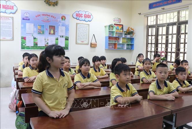 Học sinh trường Tiểu học Tiền An, thành phố Bắc Ninh hào hứng phát biểu trong giờ học lịch sử online. Ảnh: Thái Hùng - TTXVN