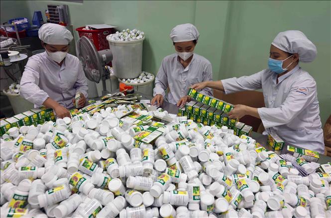  Sản xuất đông dược ở nhà máy dược phẩm công nghệ cao của Công ty CP Dược Hà Tĩnh. Ảnh: Vũ Sinh - TTXVN