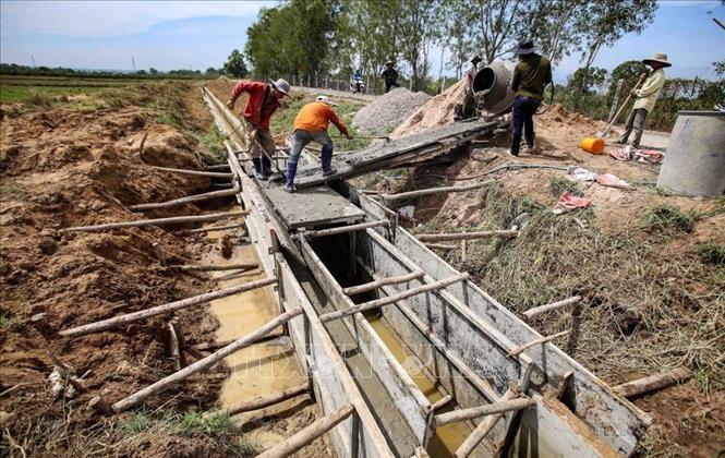Cải tạo các kênh mương dẫn nước, tưới tiêu cho các diện tích trồng cây thanh long trong nỗ lực chống hạn tại xã Hàm Chính, Hàm Thuận Bắc. Ảnh: TTXVN