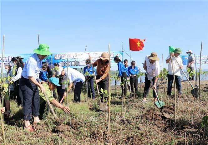 Sở NN&PTNT tỉnh Phú Yên tổ chức Lễ phát động trồng rừng ngập mặn tại thắng cảnh quốc gia đầm Ô Loan khu vực thôn Tân Hòa, xã An Hòa Hải, huyện Tuy An. Ảnh: Phạm Cường-TTXVN
