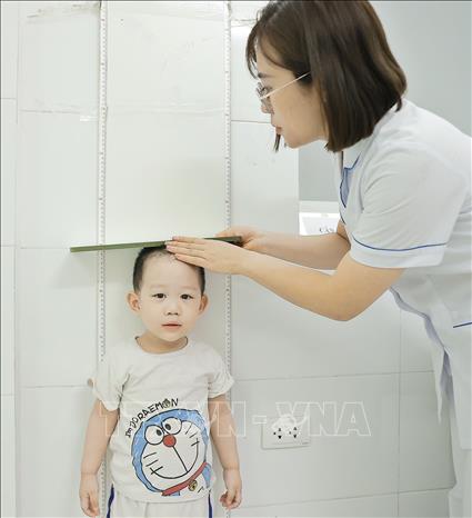 Đồng thời, từ ngày 1 đến 7/6, Hà Nội cũng triển khai chiến dịch cân, đo cho toàn bộ trẻ dưới 5 tuổi sinh sống trên địa bàn. Ảnh: Minh Quyết – TTXVN