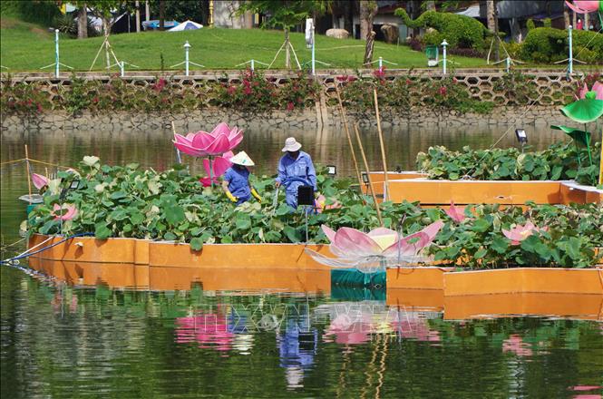 Công nhân chăm sóc những chậu hoa sen dùng tạo hình bản đồ Việt Nam trên mặt hồ Khổng Tử, thuộc Công viên Văn Miếu, thành phố Cao Lãnh. Ảnh: Nhựt An - TTXVN