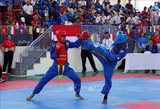Vovinam competitions run from June 3-5. VNA Photo
