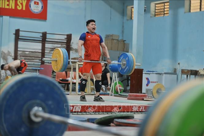 Đô cử Trịnh Văn Vinh đang nỗ lực tập luyện để đạt thành tích tốt nhất tại kỳ Olympic sắp tới. Ảnh: Minh Quyết – TTXVN