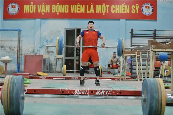 Hiện đô cử đang nỗ lực tập luyện để đạt thành tích tốt nhất tại kỳ Olympic sắp tới. Ảnh: Minh Quyết – TTXVN