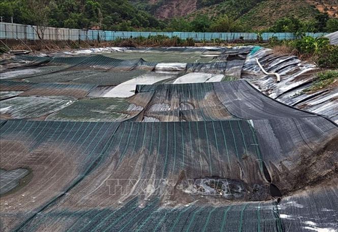 Hồ điều hòa chứa thải của Trại nuôi heo Trường Thịnh Farm phủ lưới làm giảm ô nhiễm mùi ra môi trường. Ảnh: Chu Quốc Hùng - TTXVN