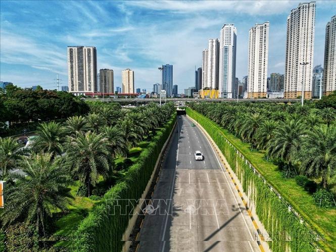 Thành phố Hà Nội đang nỗ lực trồng cây xanh nhằm cải thiện môi trường, vừa giúp giảm khói bụi, tiếng ồn, vừa nâng cao mỹ quan đô thị. Ảnh: Tuấn Anh – TTXVN