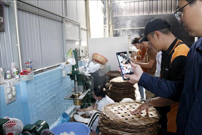 Đoàn khảo sát làng nghề làm bánh hỏi truyền thống Phú Long, huyện Hàm Thuận Bắc (Bình Thuận). Ảnh: Nguyễn Thanh - TTXVN