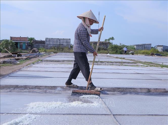 Diêm dân thu hoạch muối trên cánh đồng xã Bạch Long. Ảnh: Công Luật-TTXVN