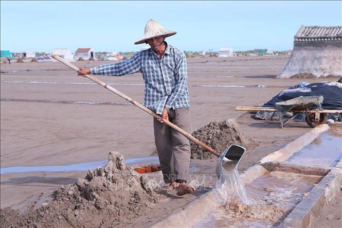 Công đoạn đổ nước để làm muối trên cánh đồng xã Bạch Long. Ảnh: Công Luật-TTXVN