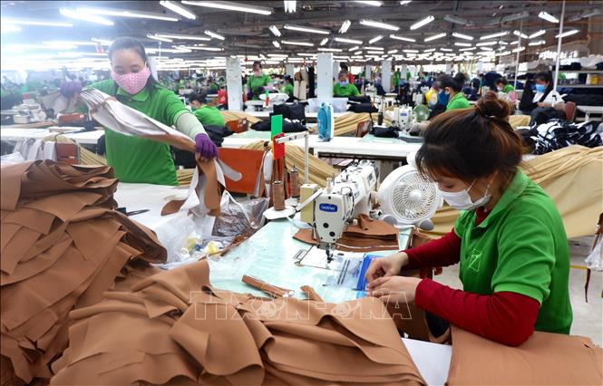 Công ty TNHH Tainan Việt Nam (thị xã Kiến Tường) muốn mở rộng sản xuất nhưng còn thiếu lao động. Ảnh: Đức Hạnh - TTXVN 