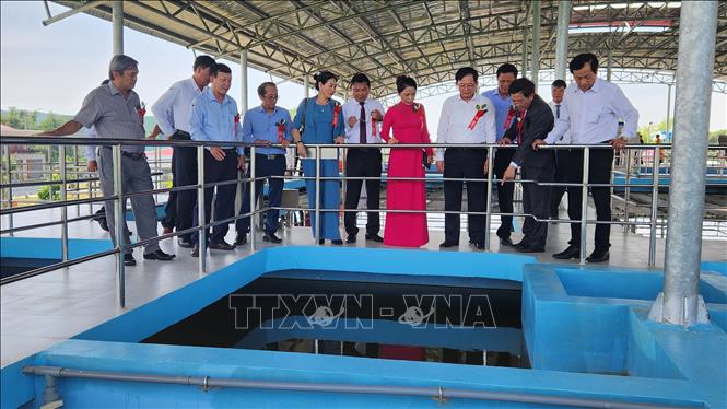 Lãnh đạo tỉnh tham quan nhà máy. Ảnh: Sỹ Thắng - TTXVN
