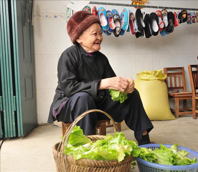 Mặc dù đã hơn 100 tuổi, nhưng cụ Hoàng vẫn rất khỏe mạnh, minh mẫn, hằng ngày vẫn giúp đỡ con cháu những việc vặt trong gia đình. Ảnh TTXVN phát