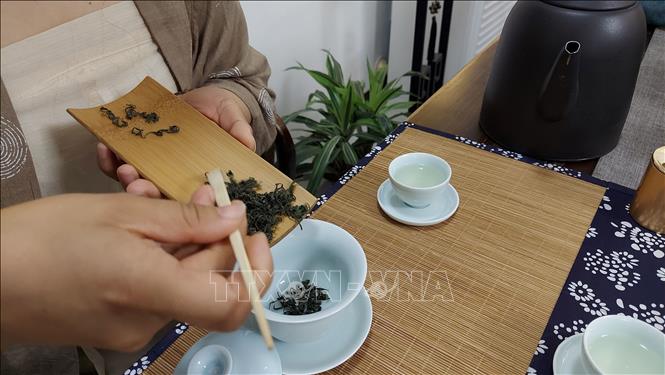 Với một lịch sử lâu dài và đầy màu sắc, Trà Lao Sơn đã tích lũy được những ý nghĩa văn hóa phong phú, từ đó tạo ra một phong cách thưởng trà chứa đầy hàm ý cảm xúc. Ảnh: Công Tuyên – Pv TTXVN tại Trung Quốc