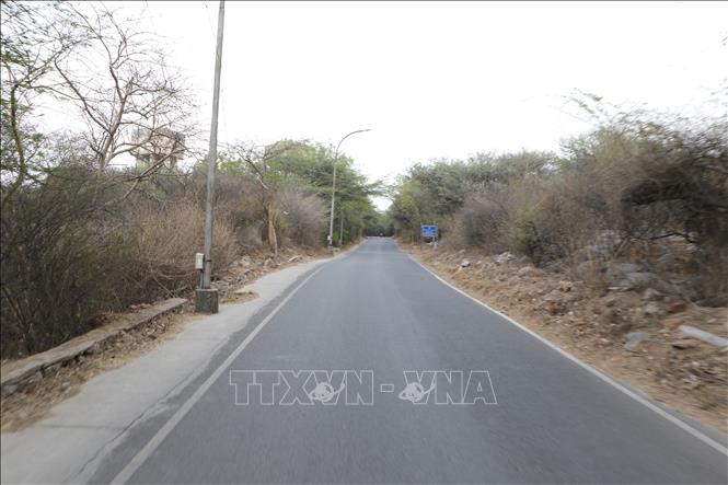 Cây cối hai bên đường cháy khô trong nhiệt độ hơn 50 độ C ở thủ đô New Delhi. Ảnh: Ngọc Thúy - Pv TTXVN tại Ấn Độ