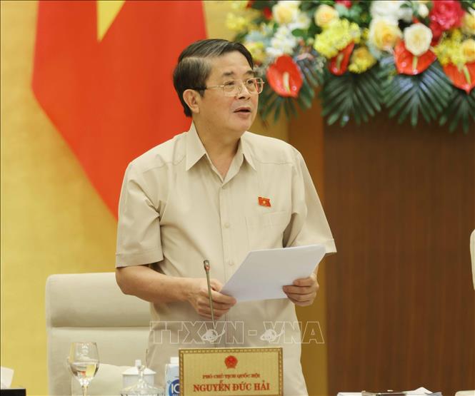 Phó Chủ tịch Quốc hội Nguyễn Đức Hải phát biểu tại phiên họp. Ảnh: Phương Hoa - TTXVN