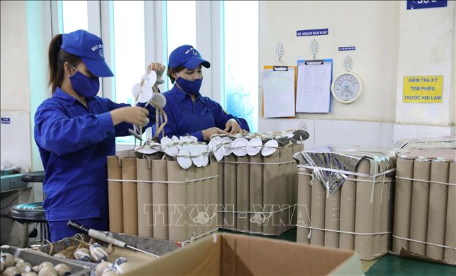 Công nhân Nhà máy Z121 hoàn thiện sản phẩm pháo hoa tầm thấp, tầm cao. Ảnh: Tạ Toàn - TTXVN