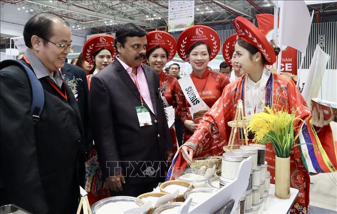 International delegates learn about Vietnamese rice at the Agri Vietnam 2024 exhibition. VNA Photo: Xuân Anh