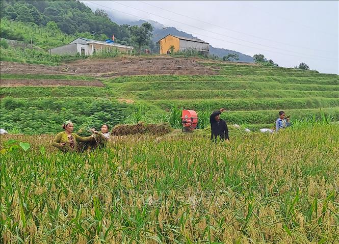 Người dân thôn Lũng Cáng (xã Thuận Hòa, Vị Xuyên, Hà Giang) sắp xếp lại cuộc sống, sinh hoạt sau lũ. Ảnh: Đức Thọ - TTXVN 