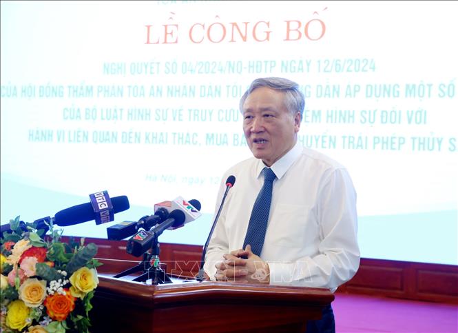 Chánh án Toà án nhân dân tối cao Nguyễn Hoà Bình phát biểu. Ảnh: Phạm Kiên - TTXVN