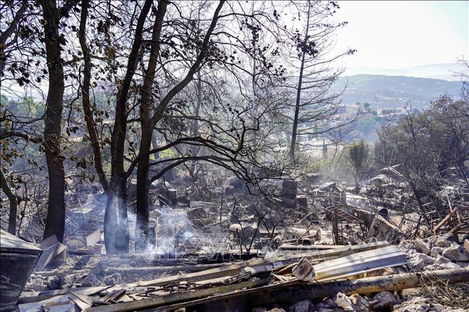 Cảnh tàn phá do cháy rừng tại Psathi, phía Tây CH Cyprus, ngày 12/6/2024. Ảnh: AFP/TTXVN