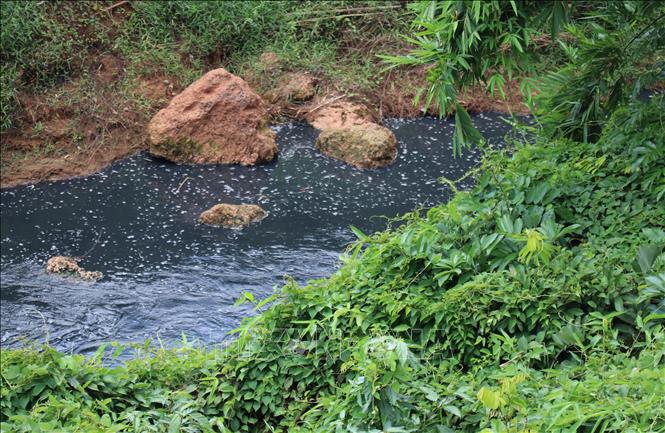 Nước Suối Tân chuyển thành màu đen như mực, đặc quánh, bốc mùi hôi nồng nặc kéo dài hàng chục cây số. Ảnh: Đậu Tất Thành – TTXVN
