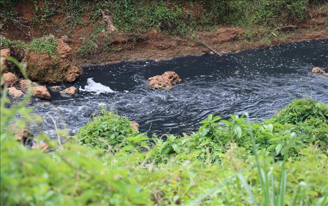 Nước Suối Tân chuyển thành màu đen như mực, đặc quánh, bốc mùi hôi nồng nặc kéo dài hàng chục cây số. Ảnh: Đậu Tất Thành – TTXVN
