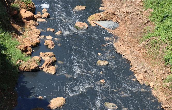 Nước Suối Tân chuyển thành màu đen như mực, đặc quánh, bốc mùi hôi nồng nặc kéo dài hàng chục cây số. Ảnh: Đậu Tất Thành – TTXVN

