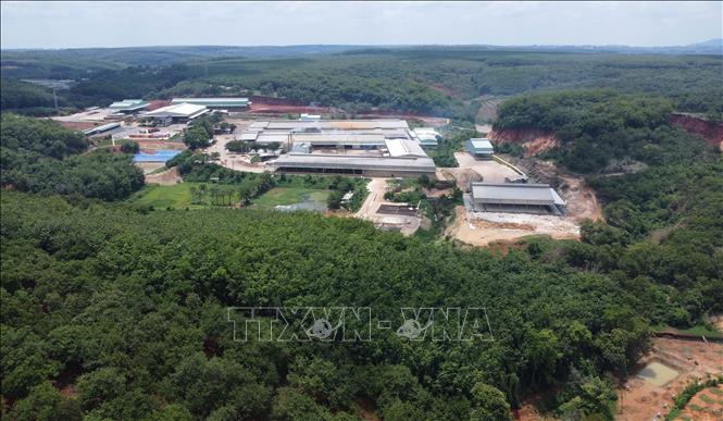 Khu vực phía sau nhà máy chế biến mủ cao su L.H. Ảnh: Đậu Tất Thành – TTXVN
