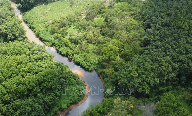 Nước Suối Tân chuyển thành màu đen như mực, đặc quánh, bốc mùi hôi nồng nặc kéo dài hàng chục cây số. Ảnh: Đậu Tất Thành – TTXVN
