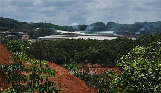 Khu vực phía sau nhà máy chế biến mủ cao su L.H. Ảnh: Đậu Tất Thành – TTXVN
