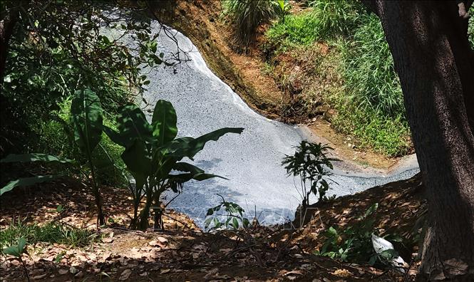 Dòng suối phía sau giáp với nhà máy chế biến mủ cao su L.H ngoài màu đen, bề mặt nước còn nổi lên váng trắng. Ảnh: Đậu Tất Thành – TTXVN
