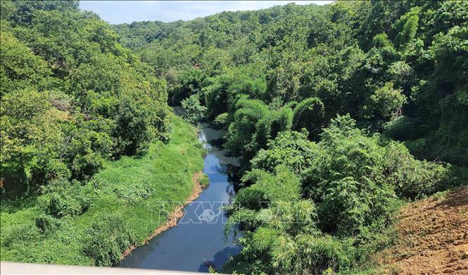 Nước Suối Tân chuyển thành màu đen đặc quánh, bốc mùi hôi nồng nặc kéo dài hàng chục cây số. Ảnh: Đậu Tất Thành – TTXVN
