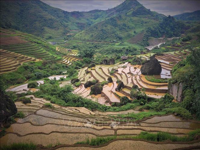 Terraced rice fields in the middle of mountains and hills of Lai Chau province. VNA Photo: Nguyễn Oanh