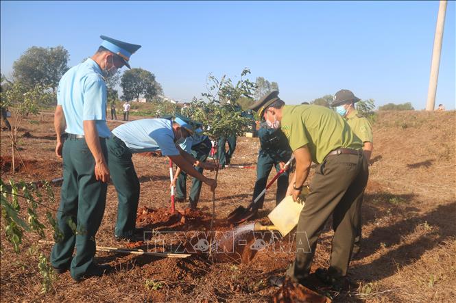 Các đại biểu tham gia trồng cây tại Trung đoàn tên lửa đóng tại huyện Đất Đỏ, tỉnh Bà Rịa-Vũng Tàu. Ảnh: Hoàng Nhị - TTXVN./.