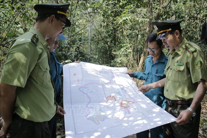 Cán bộ kiểm lâm, rừng phòng hộ đi tuần tra bảo vệ rừng Núi Dinh thuộc địa phận thị xã Phú Mỹ, tỉnh Bà Rịa-Vũng Tàu. Ảnh: Hoàng Nhị - TTXVN./.