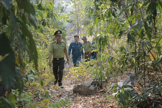 Cán bộ kiểm lâm đi tuần tra bảo vệ rừng tại rừng Núi Dinh, thị xã Phú Mỹ. Ảnh: Hoàng Nhị - TTXVN./.
