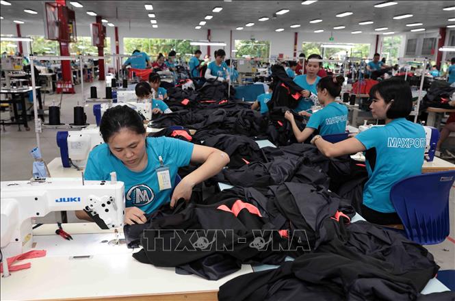 Công ty may Maxport Hải Hậu, Nam Định, đơn vị có nhiều giải pháp cho sản xuất xanh, tăng trưởng bền vững. Ảnh: Trần Việt - TTXVN