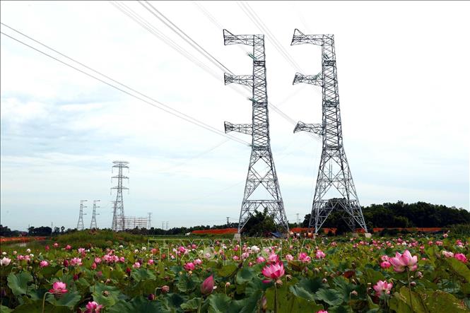 Trên toàn tuyến đường dây Nhà máy nhiệt điện Nam Định 1 – Thanh Hóa, việc dựng cột đã hoàn thành 96%, kéo dây đạt 80%. Ảnh: Huy Hùng - TTXVN