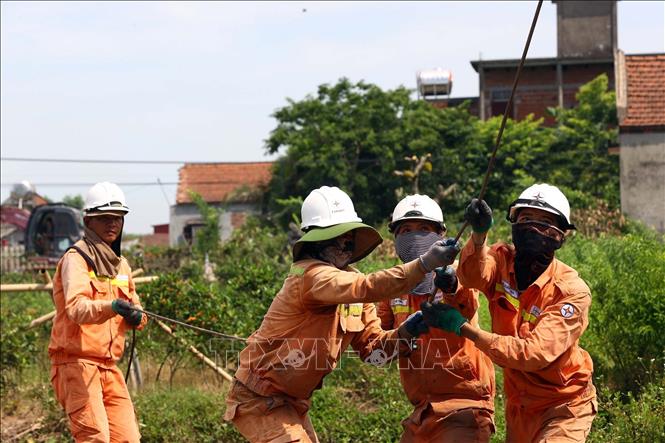 Căng mình kéo dây giữa thời tiết nóng bức trên tuyến đường dây Nhà máy nhiệt điện Nam Định 1 - Phố Nối tại huyện Nghĩa Hưng, tỉnh Nam Định. Ảnh: Huy Hùng - TTXVN