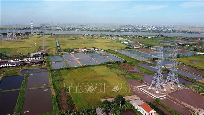 Thi công kéo dây tại vị trí cột 33 tuyến đường dây Nhà máy nhiệt điện Nam Định 1-Thanh Hóa trên địa bàn xã An Hòa, huyện Kim Sơn, tỉnh Ninh Bình. Ảnh: Huy Hùng - TTXVN