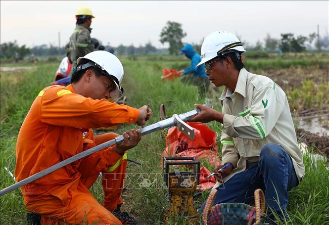 Công nhân Truyền tải điện Ninh Bình kiểm tra ép đầu cọc của dây cáp tại tuyến đường dây Nhà máy nhiệt điện Nam Định 1 - Phố Nối trên địa bàn huyện Hưng Hà (Thái Bình). Ảnh: Huy Hùng - TTXVN
